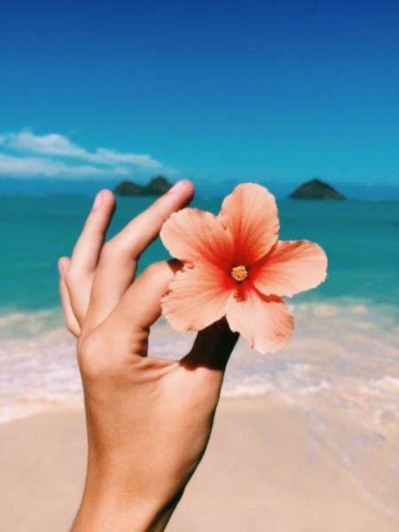 Mano sosteniendo una flor con el mar desenfocado