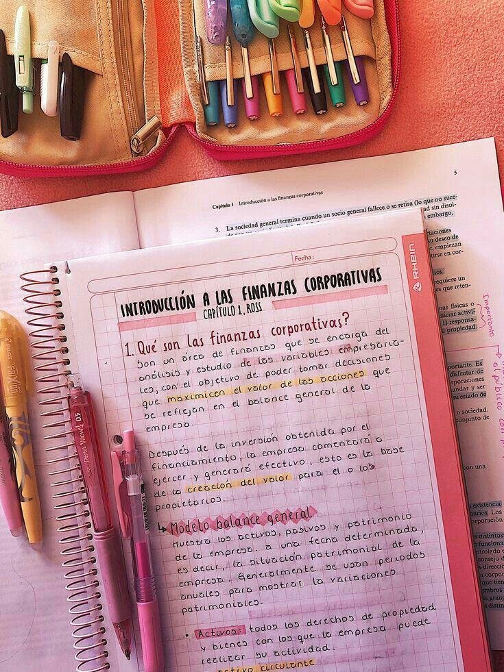 Apuntes de economía con títulos en fucsia