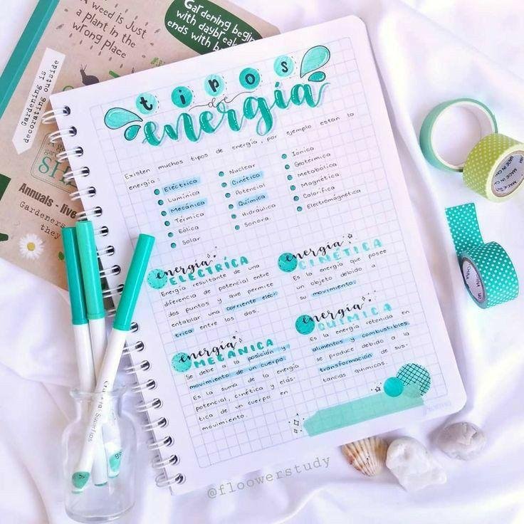 Apuntes de mitosis con dibujos y adhesivos
