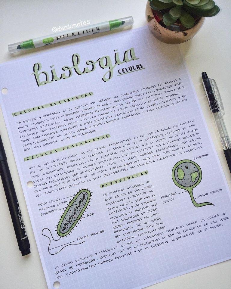 Apuntes de método de estudio con tabla y dibujos