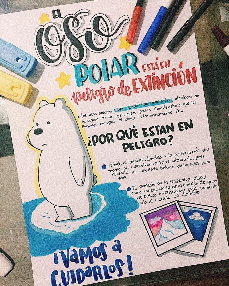 Apuntes de tipos de energía con banda turquesa