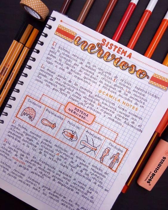 Apuntes de finanzas junto a un estuche de rotuladores