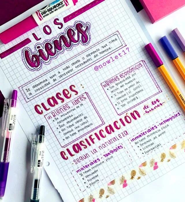 Apuntes de medicina con recuadros de colores por grados
