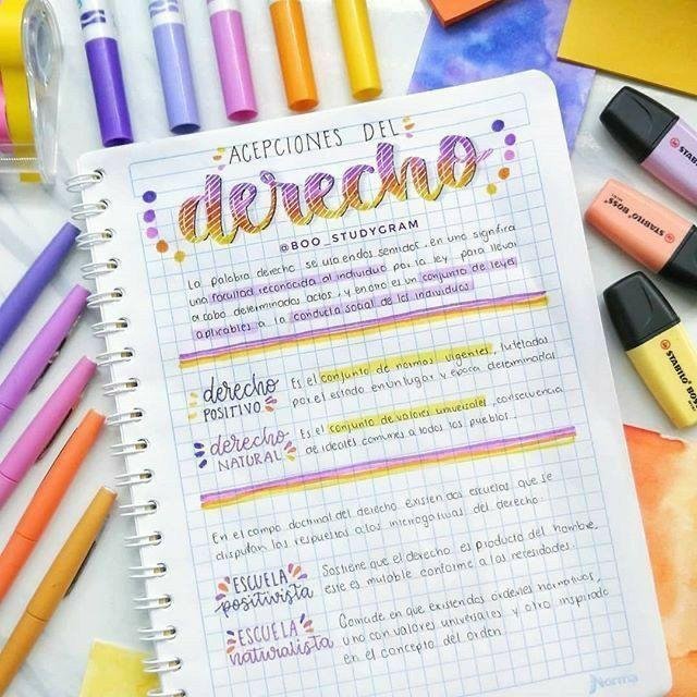 Sistema digestivo dibujado en línea continua