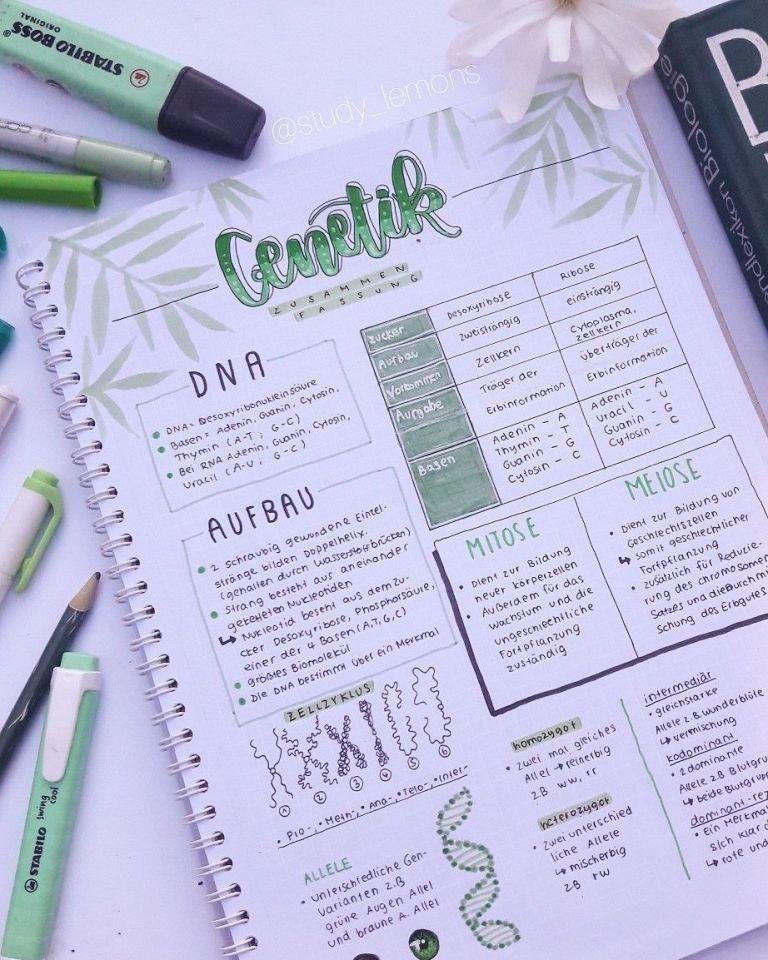 Apuntes de matemáticas en inglés con fórmulas