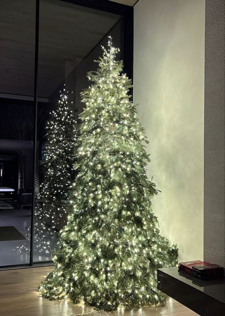 Árbol de Navidad: Adornos de Tela