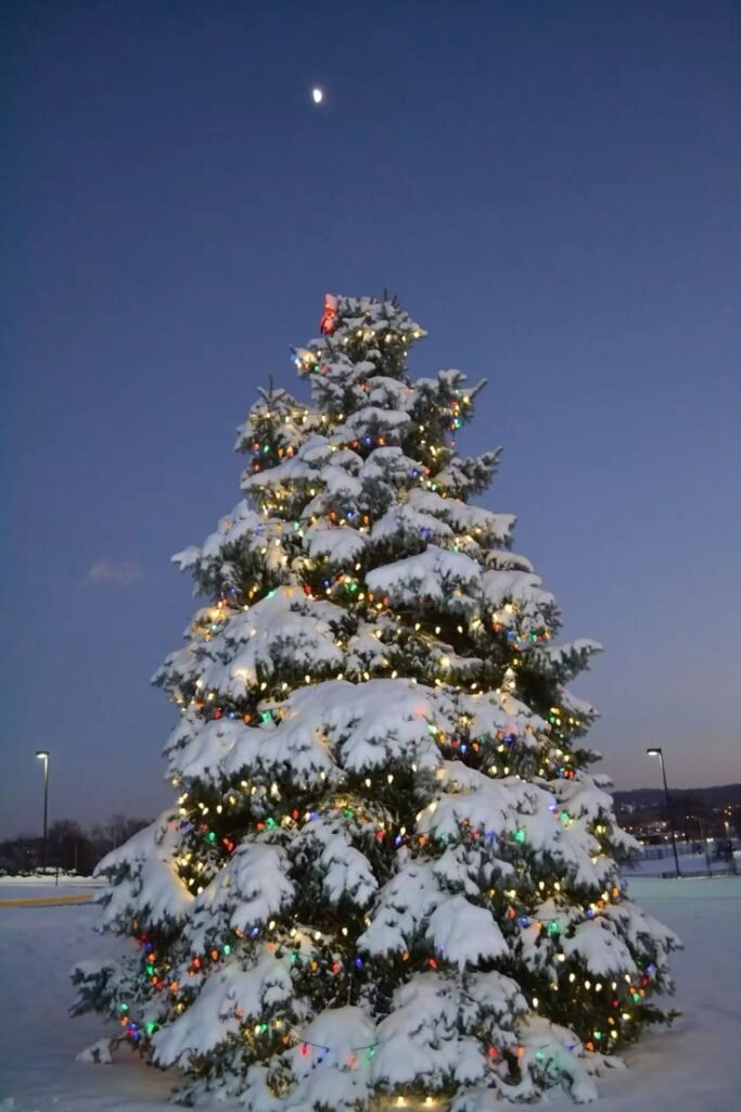 Árbol de Navidad: Adornos de Tela