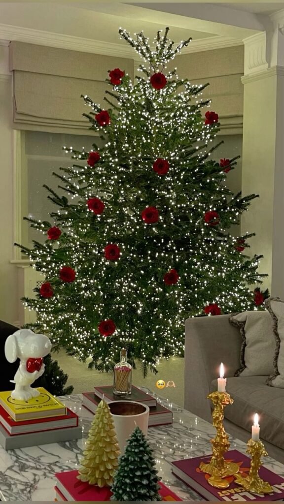 Árbol de Navidad: Decoraciones Naturales