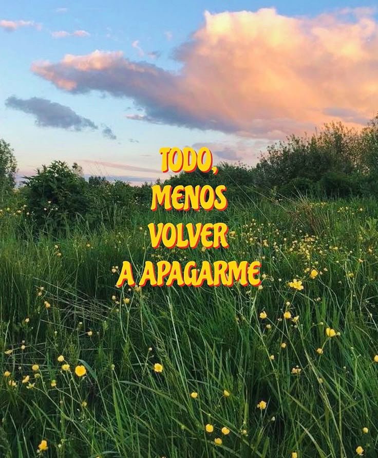 Frase sobre no apagarse escrita sobre una foto de campo