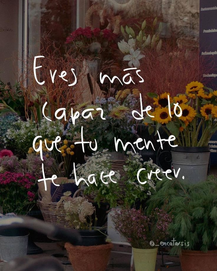 Frase escrita a mano sobre una foto de una floristería