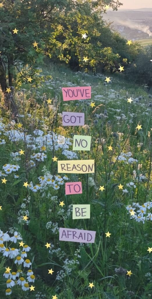 Frase con letras recortadas sobre una foto de flores silvestres