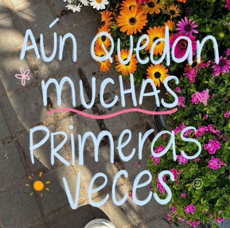 Frase escrita sobre una foto de flores de colores