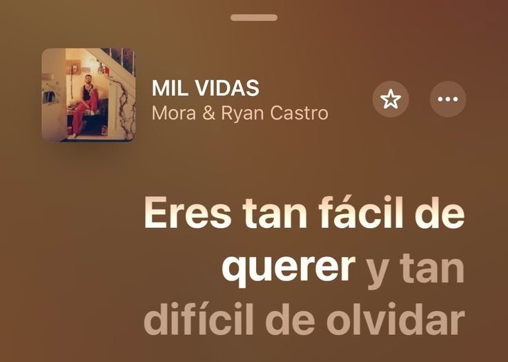 Captura de reproductor con la letra de una canción sobre fondo marrón