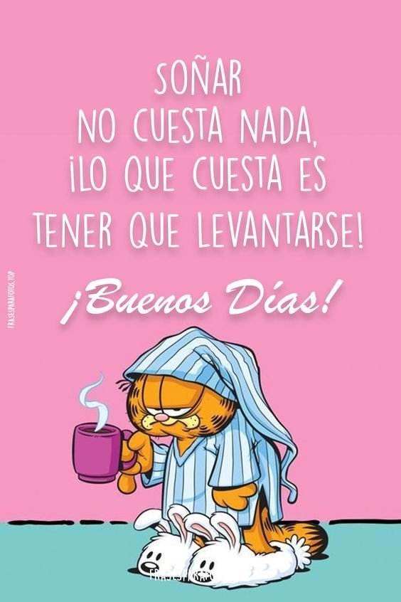 Ilustración de un gato en pijama con un mensaje con humor